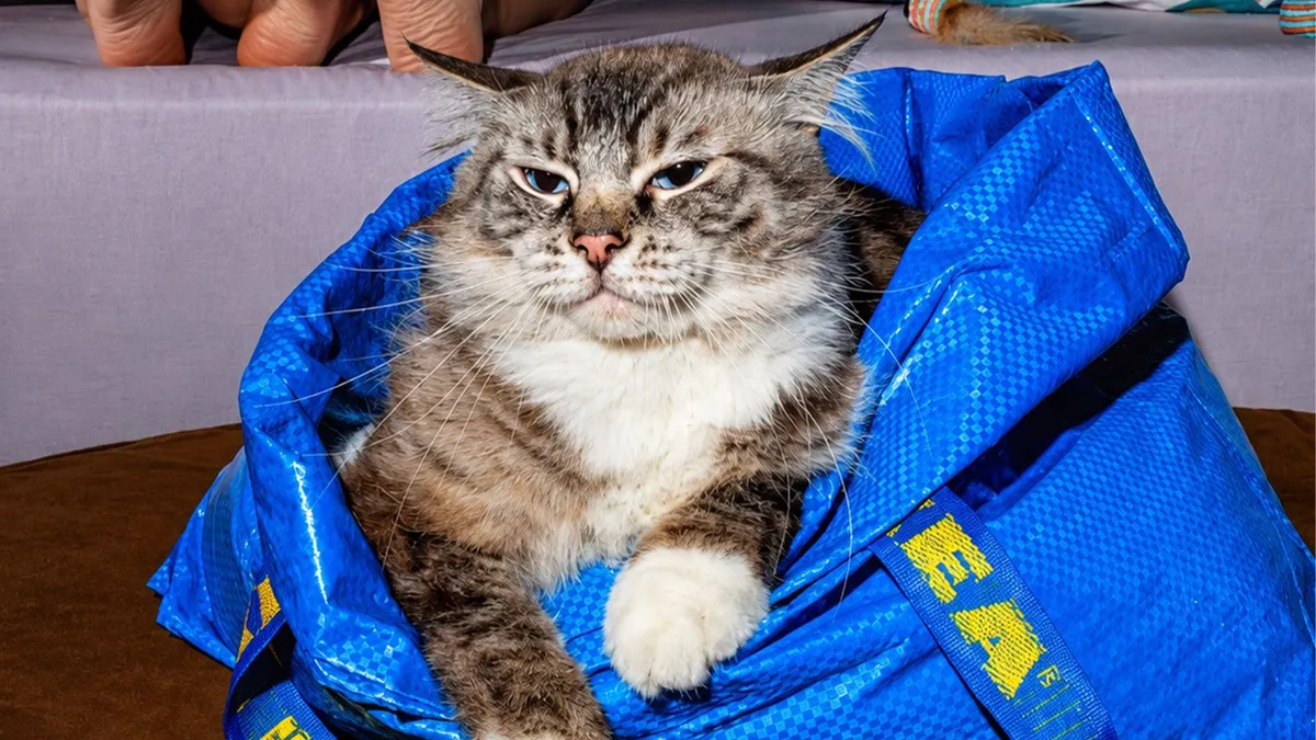 Az IKEA átalakítja ikonikus kék táskáját egy fura kampányban