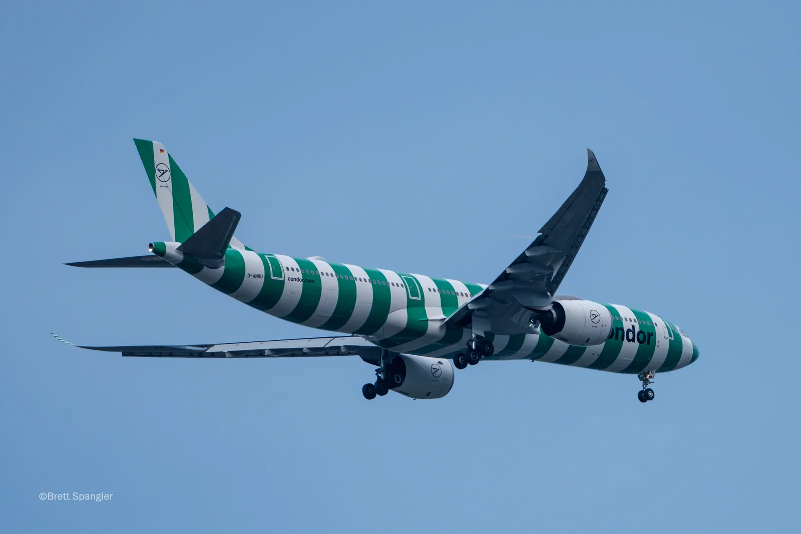Condor A330neo oldalnézet, csíkos livery